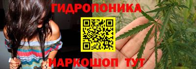 метадон Аргун