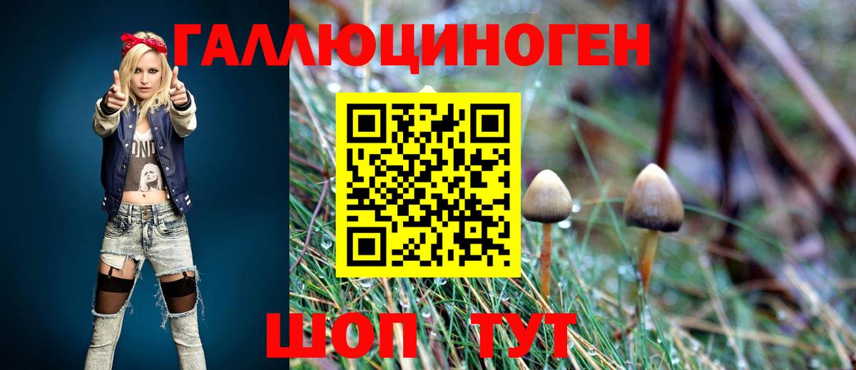 Белебей  Псилоцибиновые грибы прущие грибы  Вход с VPN  Галлюциногенные грибы Psilocybe 